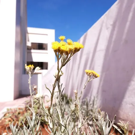 Apartment Seaside Serenity 