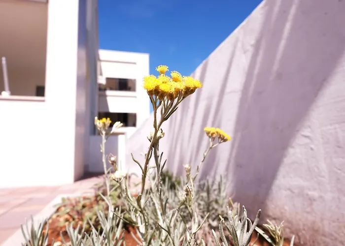 公寓 Seaside Serenity 